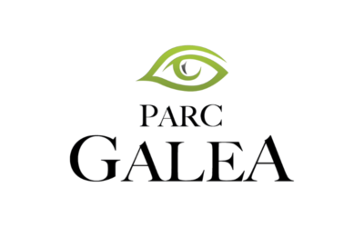 Cycle de grands débats « NUMERICU IN GALEA »