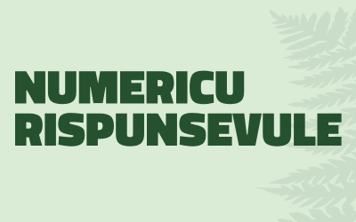 Numérique Responsable en Corse : de la vision à l&rsquo;action
